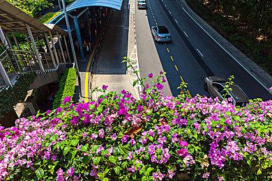 《我是耶稣》新视频公布 进入病人身体净化病毒